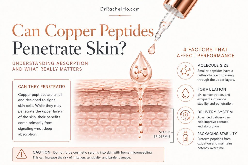 Medical skin diagram explaining copper peptide absorption, molecule size, formulation, delivery systems and packaging stability.