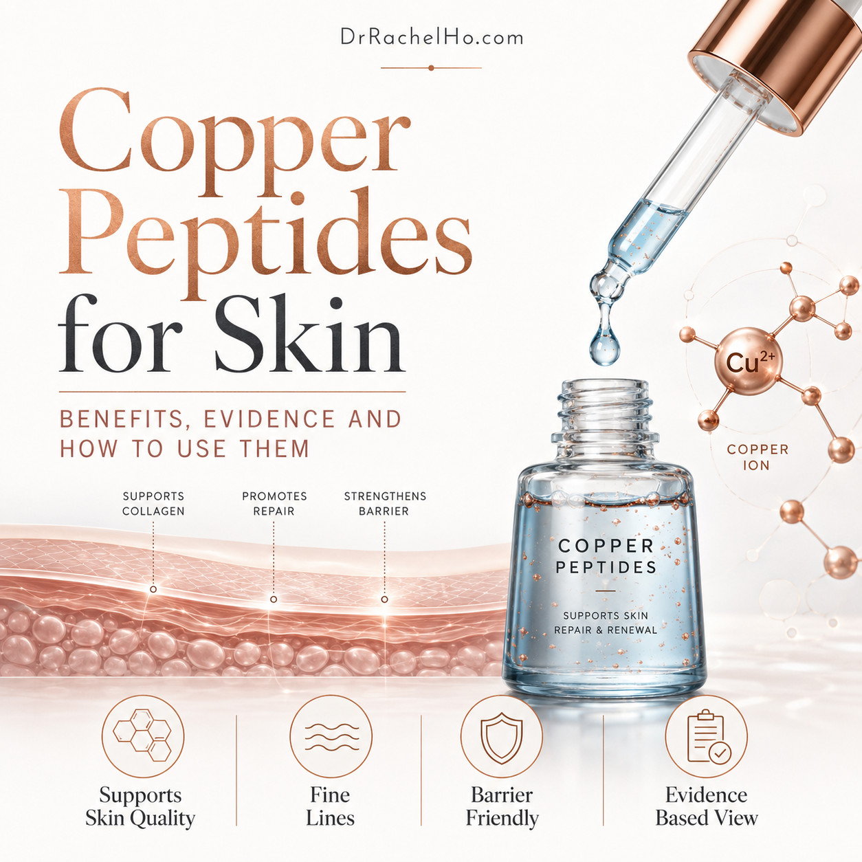 Copper peptides for skin guide with a serum dropper, copper ion molecule and hyperrealistic skin cross-section.
