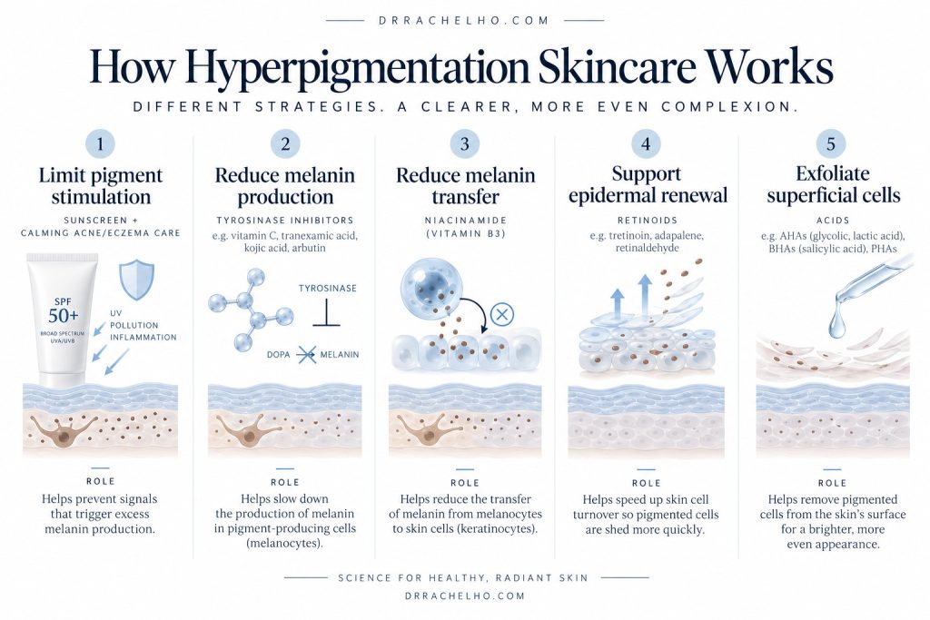 Five approaches to hyperpigmentation skincare: limiting triggers, reducing pigment production and transfer, renewal and exfoliation.