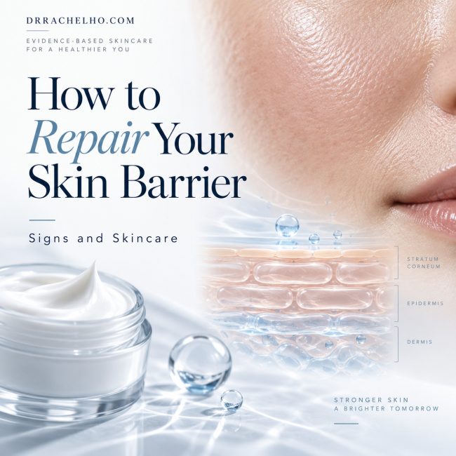 Skin barrier repair guide illustrated with a facial skin close up, moisturiser and a simplified skin cross section.